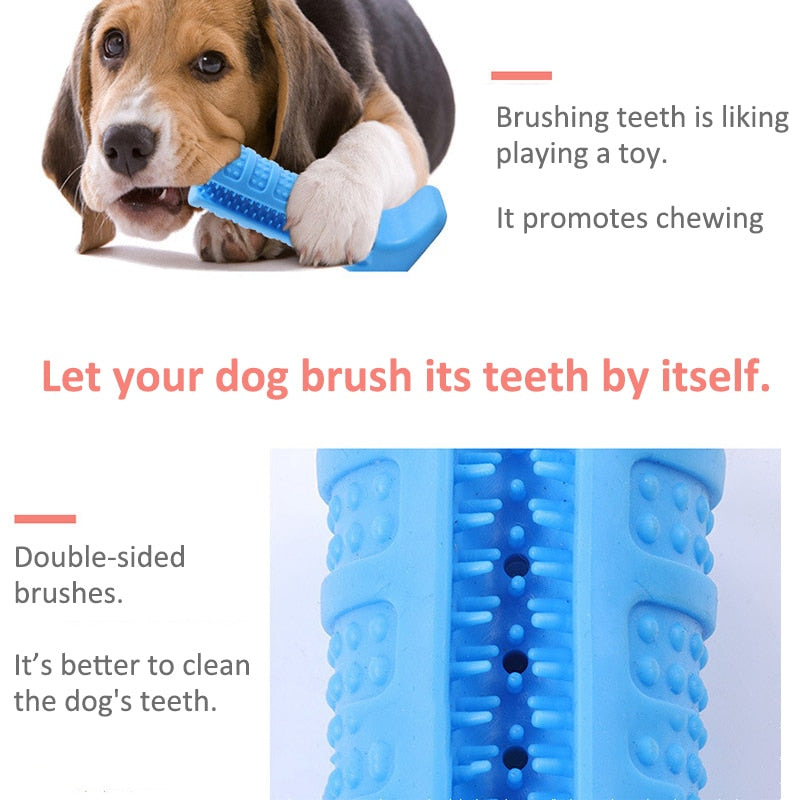 Dog Toothbrush